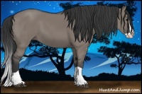 Horse Color:Grullo Splash 