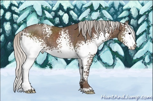 Horse Color:White Spotted Silver Black 