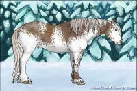 Horse Color:White Spotted Silver Black 