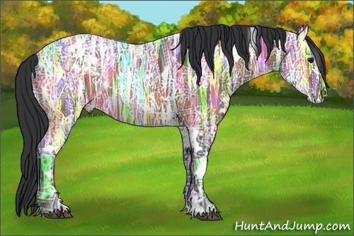 Horse Color:White Spotted Bay Ice Rabicano