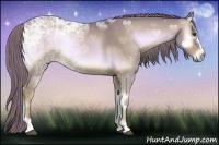 Horse Color:Watercolor Red Onyx Ice