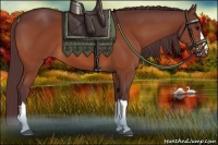 Horse Color:Chocolate Bay 