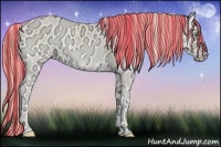 Horse Color:Painted Perlino Ice Onyx 