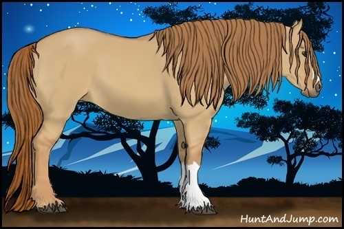 Horse Color:Red Dun 