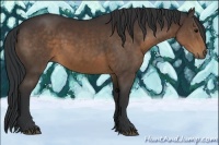 Horse Color:Brown 