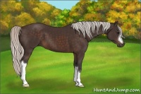 Horse Color:Silver Brown