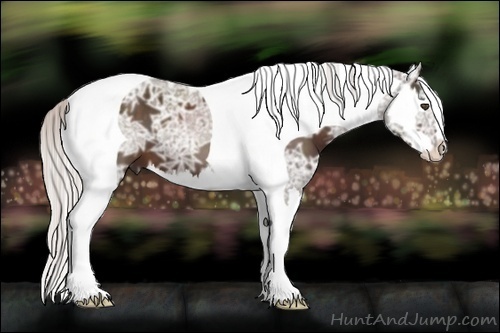 Horse Color:Silver Brown Ice Splash Tobiano Frame 