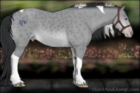 Horse Color:Sable Champagne Chinchilla Tobiano