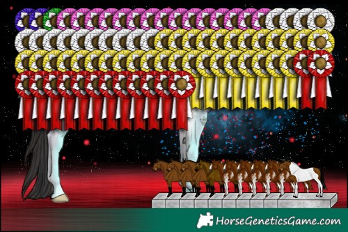 Horse Color:Brown Sabino Tobiano Rabicano 