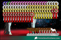 Horse Color:Brown Sabino Tobiano Rabicano