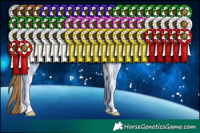 Horse Color:Black Pearl Sabino Tobiano