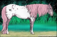 Horse Color:Watercolor Liver Chestnut Ice Sabino Frame Near Leopard 