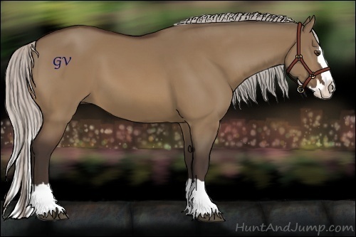 Horse Color:Silver Bay Dun Sabino Splash