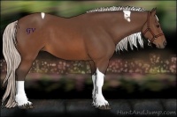 Horse Color:Silver Brown Tobiano 