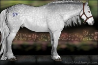 Horse Color:Silver Black Chinchilla 