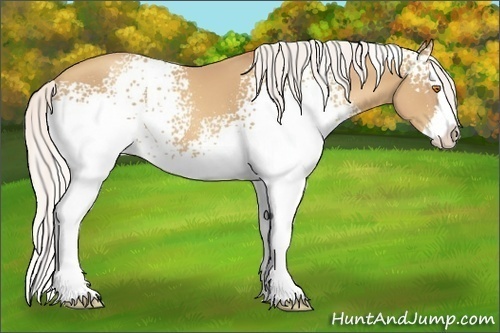 Horse Color:White Spotted Silver Classic Champagne Splash 