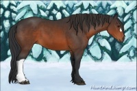 Horse Color:Brown 