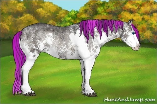 Horse Color:Painted Blue Onyx Ice Roan Splash Rabicano