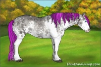 Horse Color:Painted Blue Onyx Ice Roan Splash Rabicano