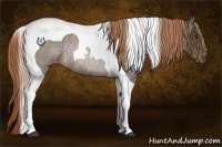 Horse Color:Liver Red Roan Tobiano Rabicano 