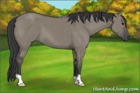 Horse Color:Smoky Grullo 