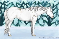 Horse Color:Silver Black Ice Sabino 