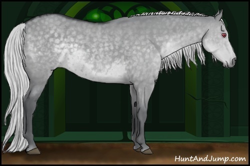 Horse Color:Silver Grullo Chinchilla
