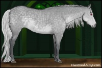 Horse Color:Silver Grullo Chinchilla 