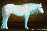 Horse Color:Thunderstruck Bay Dun Splash Varnish