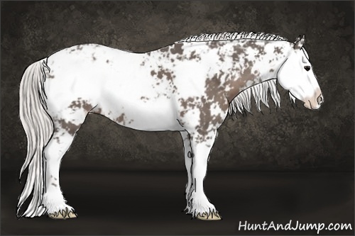 Horse Color:Silver Black Sabino