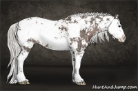 Horse Color:Silver Black Sabino 