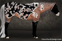 Horse Color:Bay Splash Near Leopard 