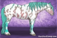 Horse Color:Watercolor Bay Appaloosa 