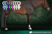 Horse Color:Brown Rabicano 