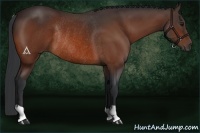 Horse Color:Bay Rabicano 