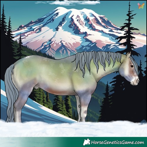 Horse Color:Watercolor Brown Onyx Sabino Tobiano 
