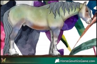 Horse Color:Watercolor Brown Onyx Sabino Tobiano