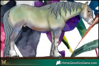 Horse Color:Watercolor Brown Onyx Sabino Tobiano