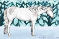 Horse Color:White Spotted Silver Black Tobiano 