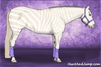Horse Color:Perlino 
