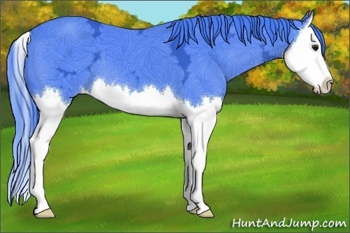 Horse Color:Watercolor Black Chinchilla Ice Splash