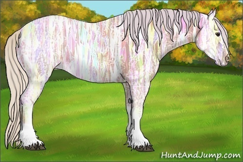 Horse Color:Watercolor Silver Bay Ice 
