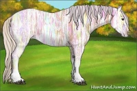 Horse Color:Watercolor Silver Bay Ice 