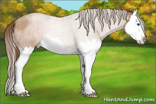 Horse Color:Brown Roan Pearl Splash