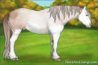 Horse Color:Brown Roan Pearl Splash