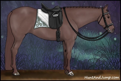 Horse Color:Chocolate Smoky Black 