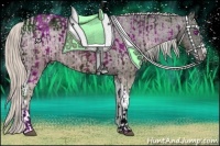 Horse Color:ERROR: UNKNOWN ANOMALY and Silver Bay Ice Splash Tobiano Appaloosa 