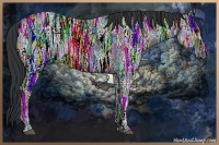 Horse Color:Blue Ice Roan 