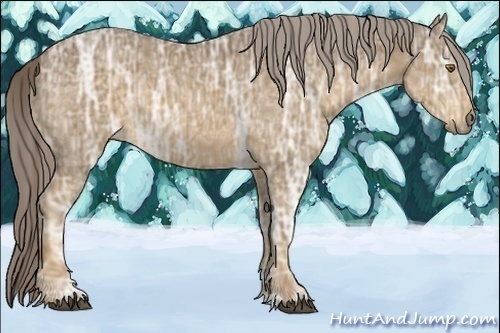 Horse Color:Chocolate Palomino Ice 