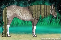 Horse Color:Painted Buckskin Ice Onyx